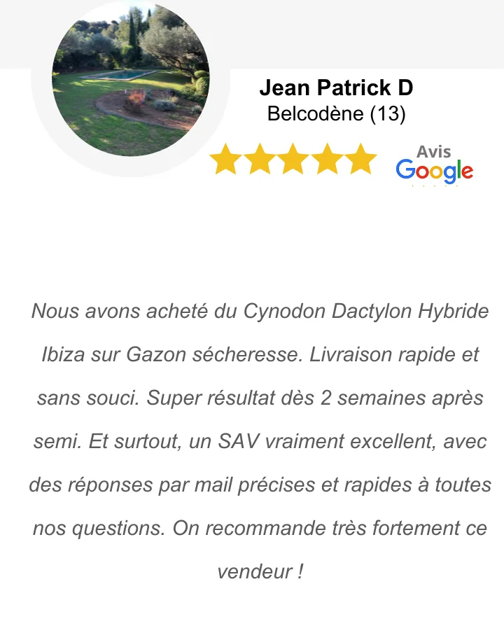 Avis sur le gazon Kikuyu Avis sur le gazon Kikuyu