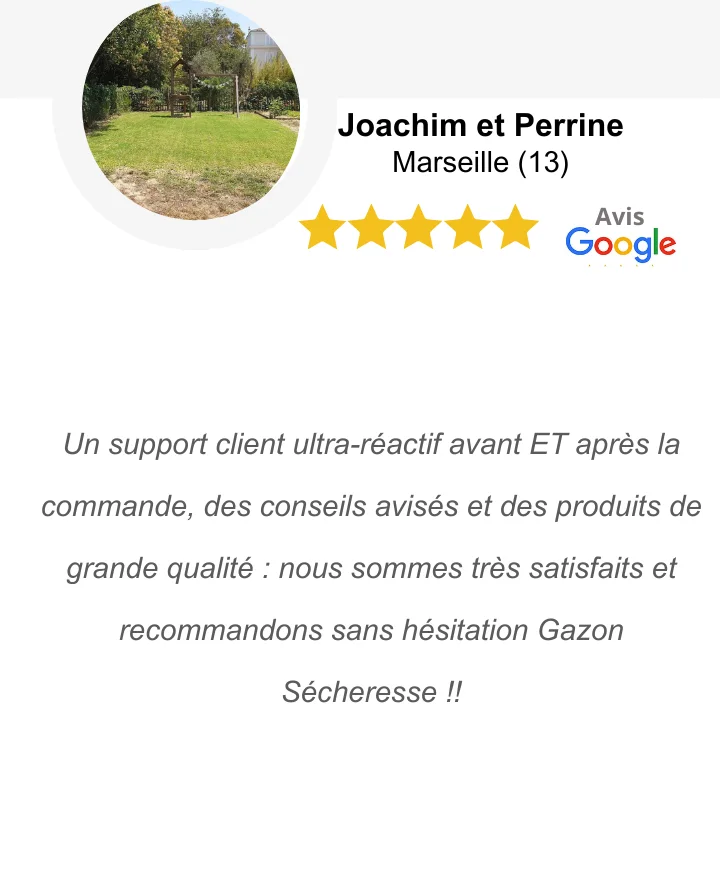 Gazon C4 résistant à la sécheresse adapté aux climats chauds Gazon C4 résistant à la sécheresse adapté aux climats chauds