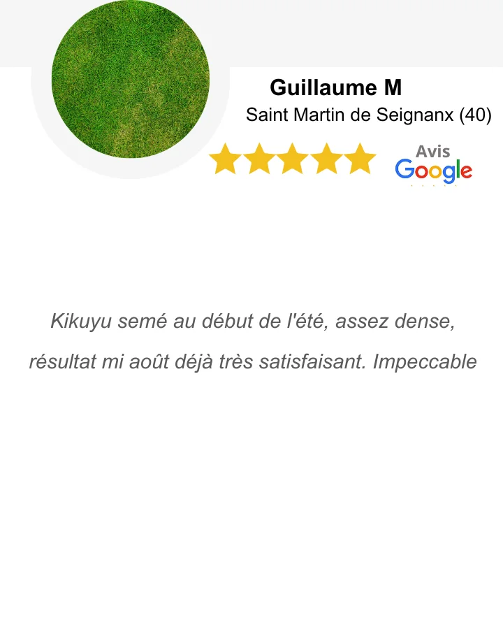 Pelouse verte en été Pelouse verte en été