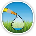 gazon sans eau gazon sans eau