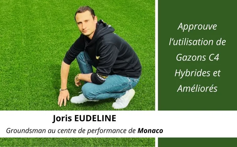 Graines de gazon utilisées par les professionnels Graines de gazon utilisées par les professionnels